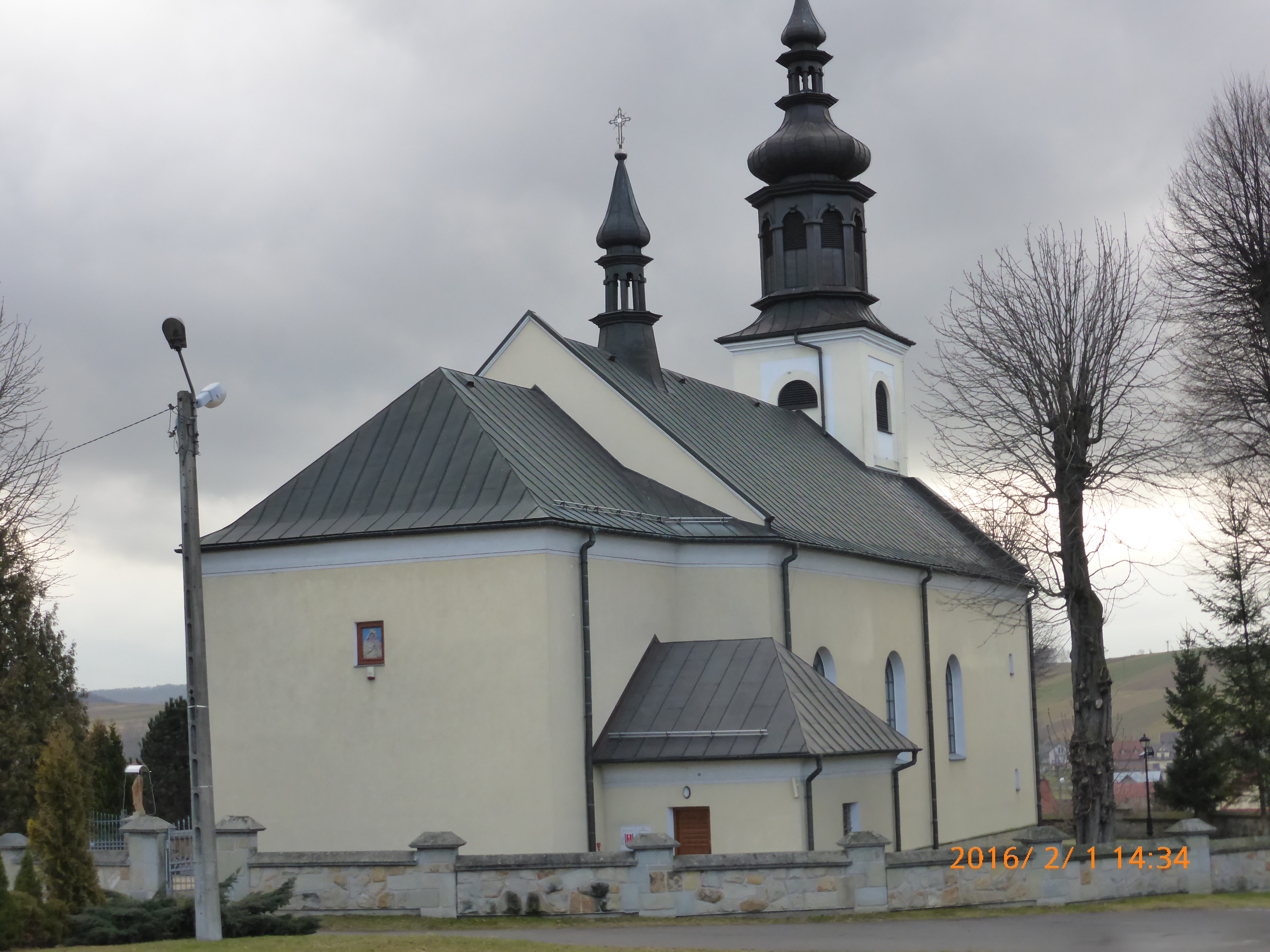 P1050981